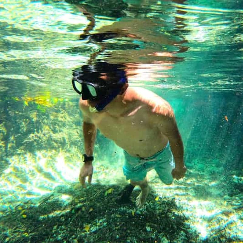 Sisal Yucatán : Plongée avec tuba dans une source jungle et exploration des mangroves