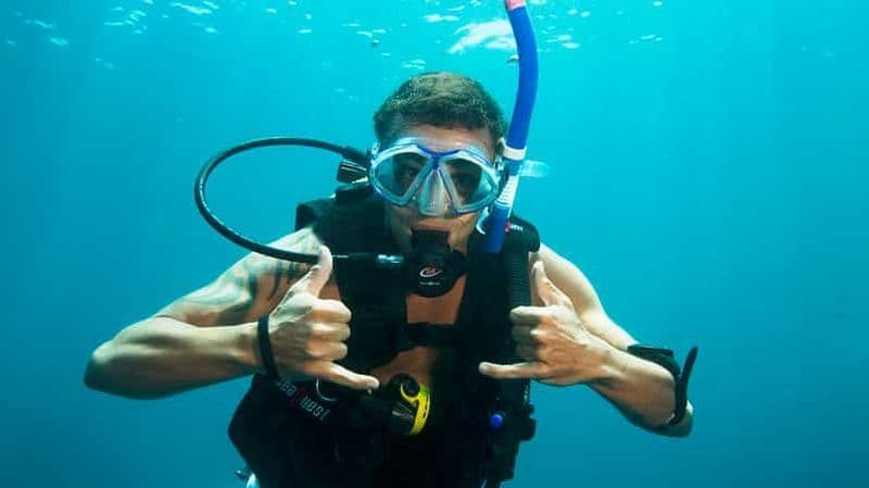 Excursion d'une journée sur l'île de Moreton pour faire de la plongée sous-marine et plus encore