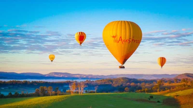 Gold Coast : vol en montgolfière, petit-déjeuner au vignoble et alpaga