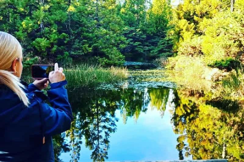 Billet Île de Terceira : Sentier de randonnée Mistérios Negros