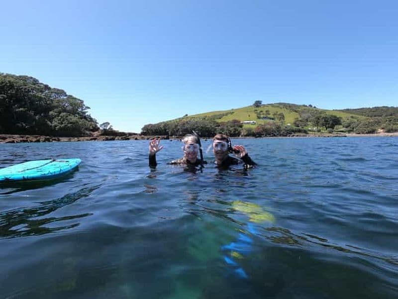 Visite guidée de l'île de Goat Island : plongée en apnée pour débutants