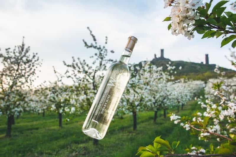 Visite des vignobles tchèques et dégustation de vins en 4x4 avec déjeuner