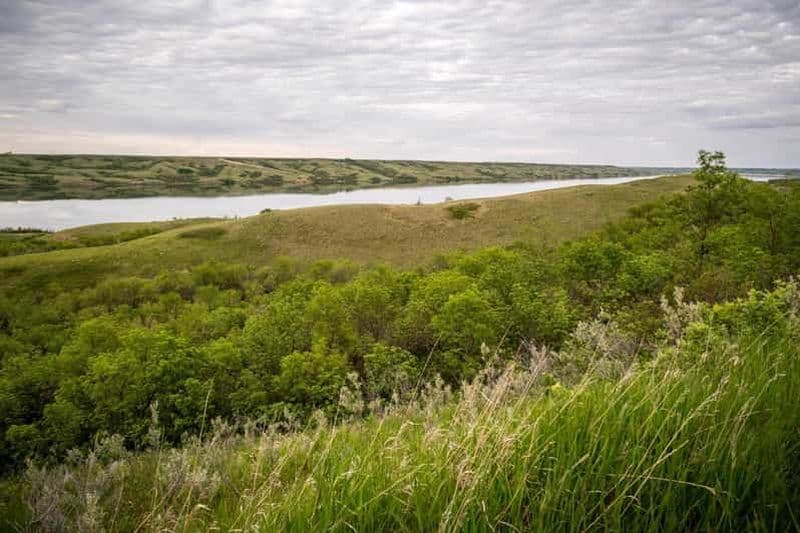 Visite privée pour l'observation des oiseaux dans le parc de Buffalo Pound