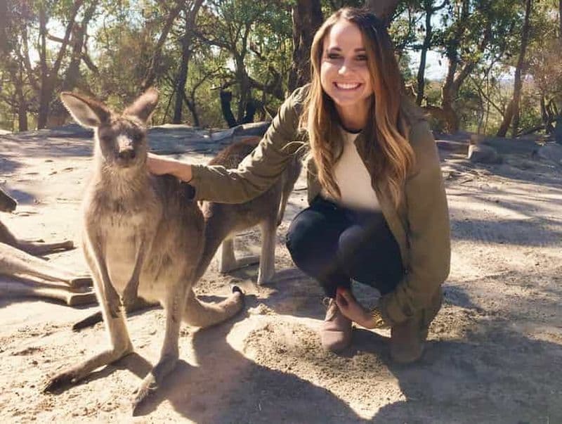 Depuis Haymarket : Excursion d'une journée dans la Hunter Valley pour découvrir les vins et la vie sauvage
