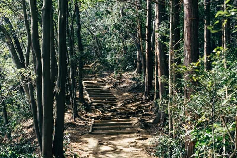 Tokyo : Randonnée au Mont Takao et visite des Onsen avec prise en charge à l'hôtel