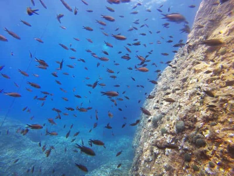 Taormine : excursion de plongée avec tuba