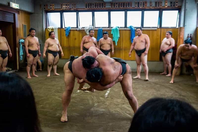 Tokyo : Visite guidée de l'entraînement matinal du sumo