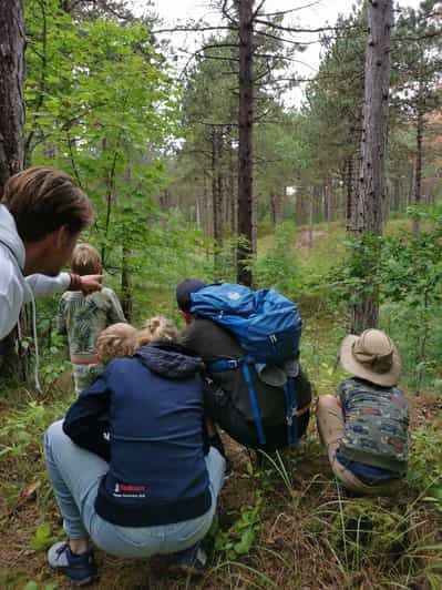 Zélande : Safari guidé Bos en Duin NL/DE