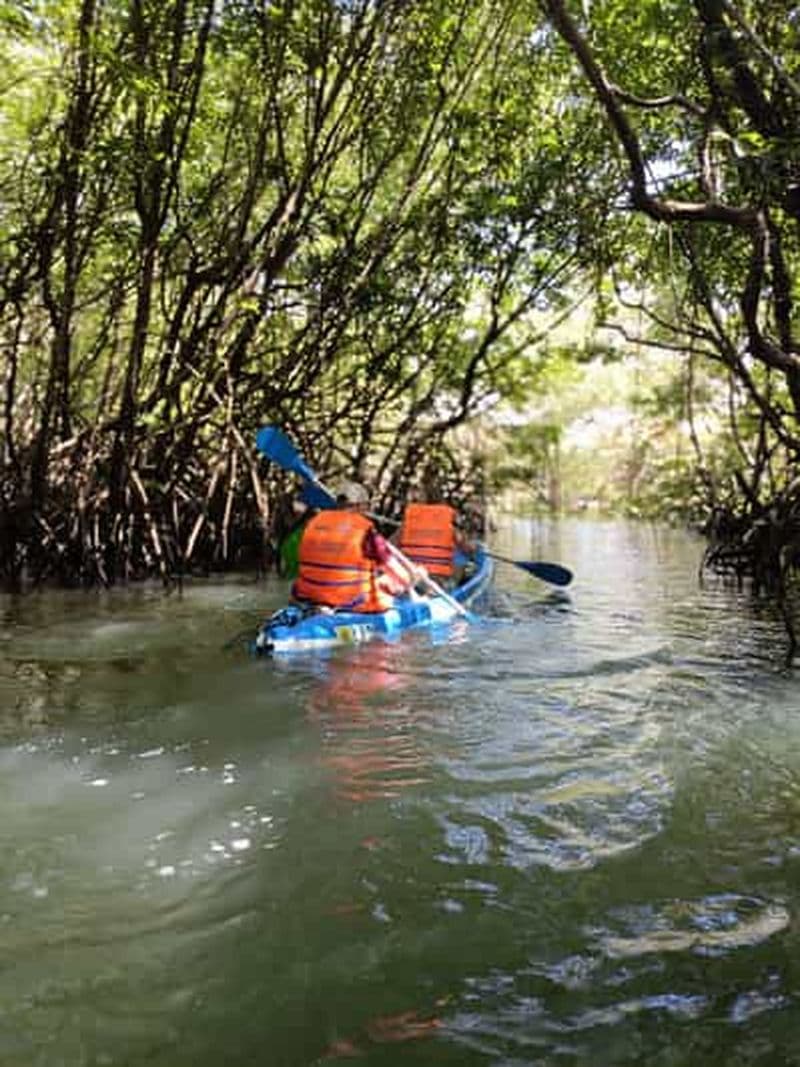 Billet Bali:Mangrove Kayak conservation des tortues Uluwatu en option