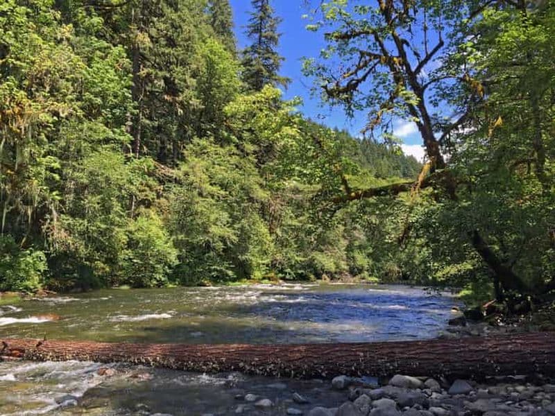 Agadir/Taghazout : Visite d'une demi-journée de la vallée du Paradis avec déjeuner