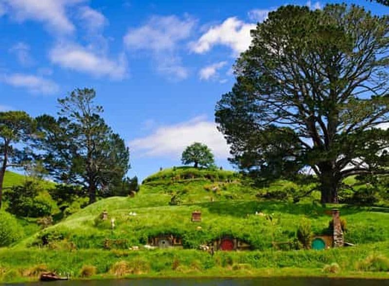Billet Au départ d'Auckland : Visite en bus de Waitomo et Hobbiton avec déjeuner