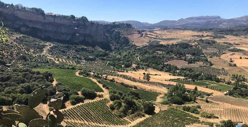 Billet Depuis Marbella : visite de Ronda et des vignobles avec déjeuner