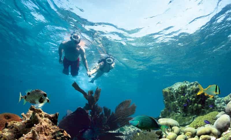 Key West : Plongée en apnée sur les récifs avec boissons et option coucher de soleil