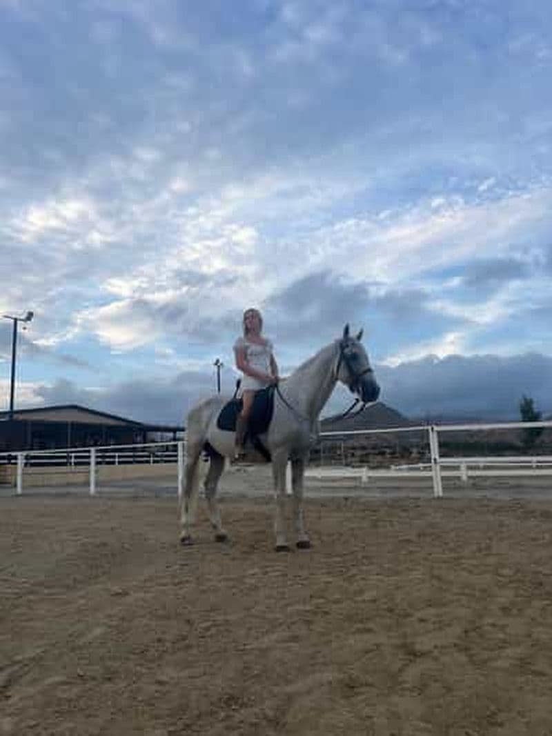 Depuis Alicante : promenade à cheval, pique-nique et prise en charge à l'hôtel