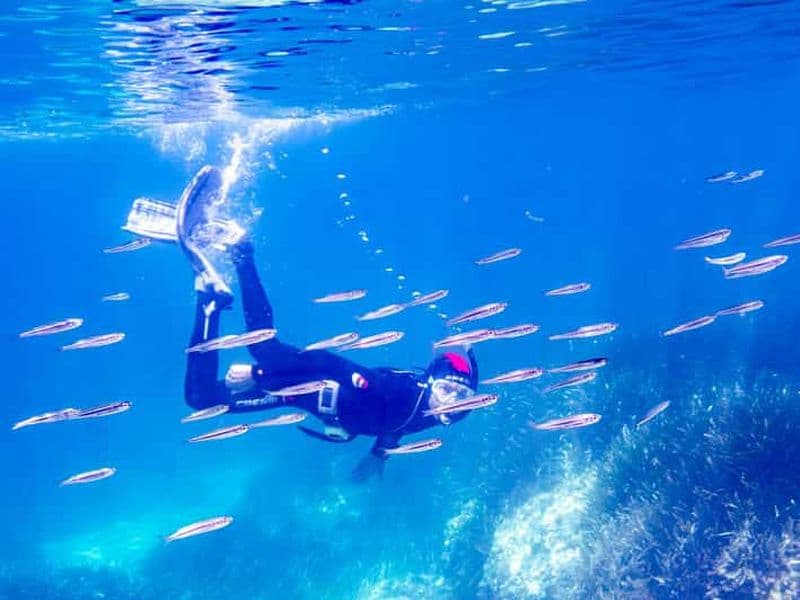 Majorque : excursion de plongée avec tuba avec un moniteur de plongée depuis un bateau - Cap de Formentor