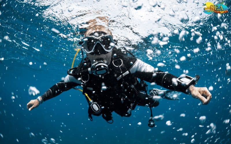 Plongée sous-marine à Pondichéry