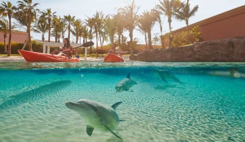 Dubaï : pass journée parc aquatique Aquaventure World et kayak avec dauphins