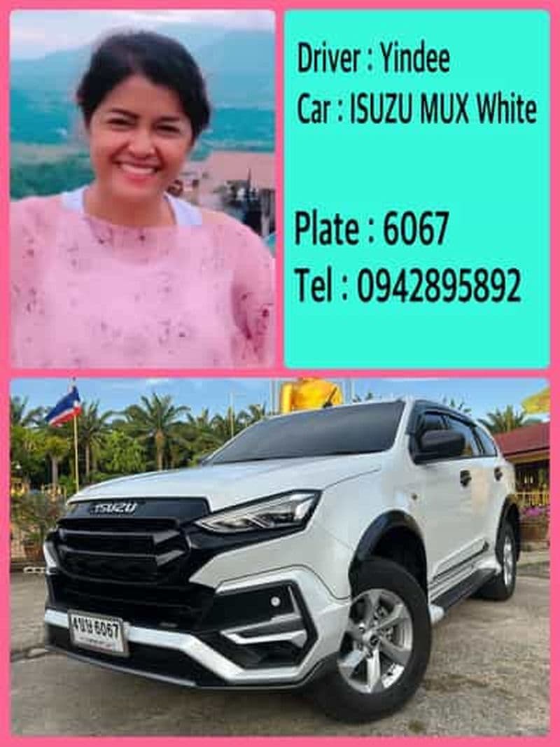 Chauffeur professionnel et sympathique Transfert aéroport