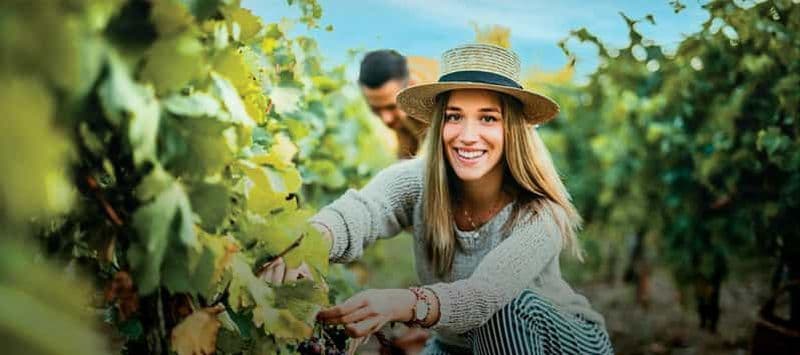 Billet Vinho Verde : Visite de 3 vignobles avec dégustation de vins et déjeuner