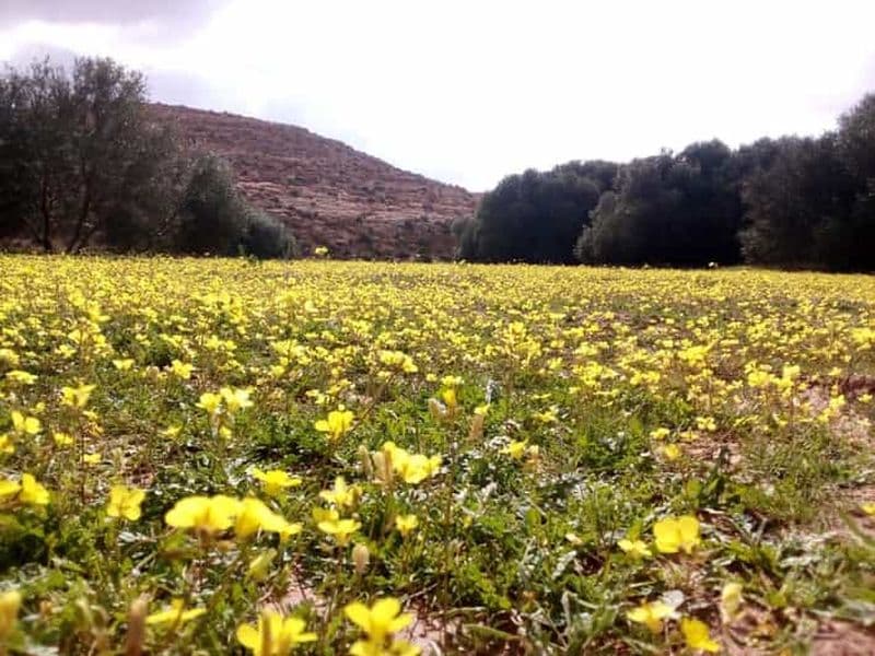 Billet Trekking CHENINI DOUIRET