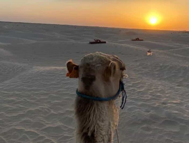 Billet Ksar Ghilaine : Dîner au coucher du soleil et nuit étoilée dans le désert