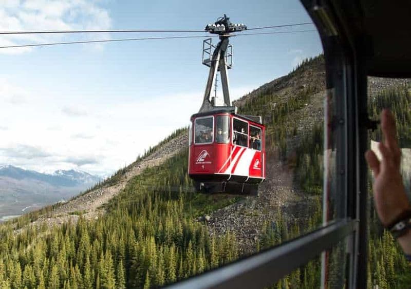 Billet Billets d'avion aller-retour pour le SkyTram de Jasper