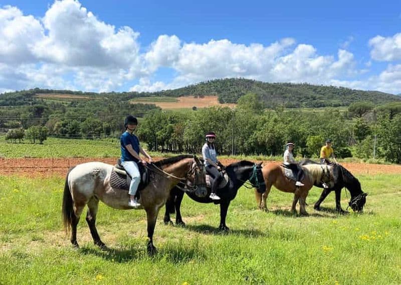 Billet Grimaud : Randonnée à cheval et dégustation de vin dans la forêt des Maures