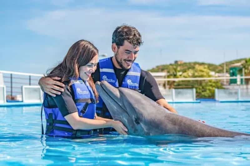 Billet Cabo San Lucas : Cours de natation pour dauphins avec un spécialiste marin