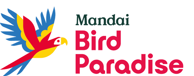 Singapour : le paradis des oiseaux