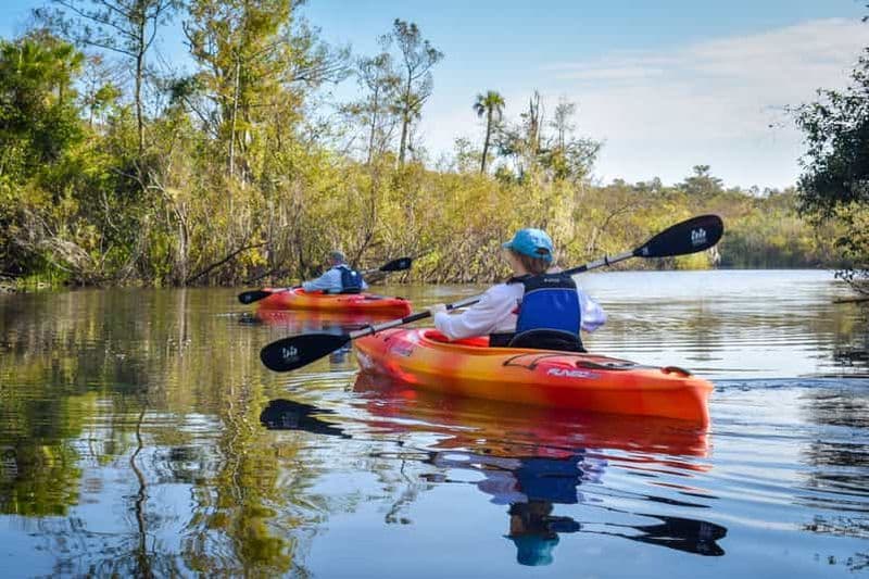 Everglades City : Visite guidée en kayak des zones humides