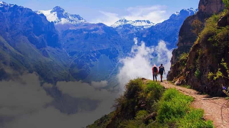 Depuis Arequipa : Excursion d'une journée au canyon de Colca avec transfert à Puno