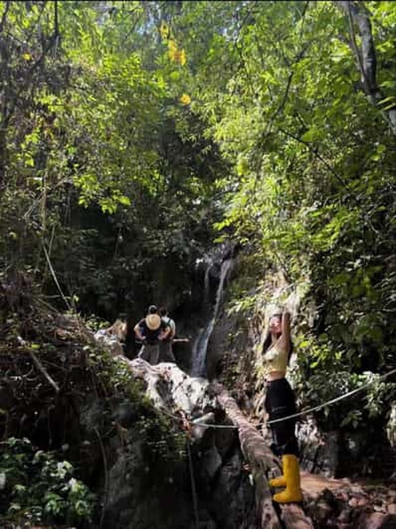 Billet Xishuangbanna : randonnée dans la forêt tropicale de la montagne Jinuo