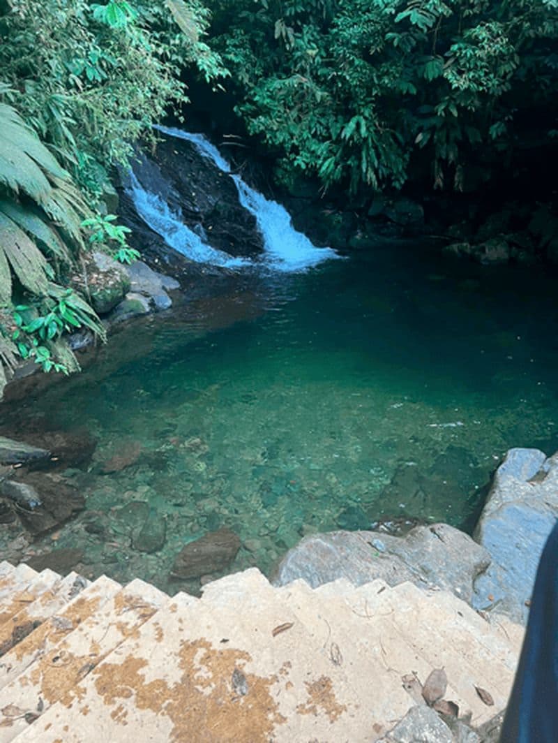 Depuis Medellín : expérience en 4x4 jusqu'aux cascades de la rivière Melcocho