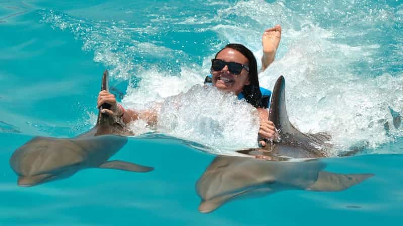 Punta Cana : Nage avec les dauphins et rencontres avec transport