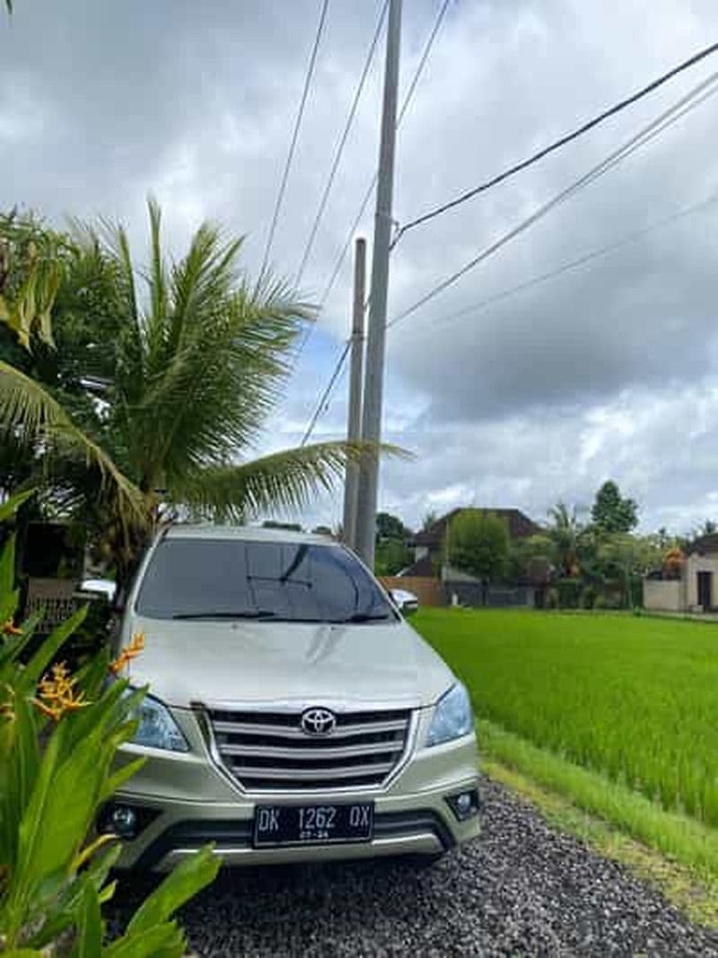 Transfert depuis l'aéroport de Bali Denpasar : transfert vers votre hôtel à Ubud