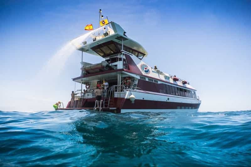 Adeje : Croisière d'observation des baleines et des dauphins avec déjeuner et baignade.