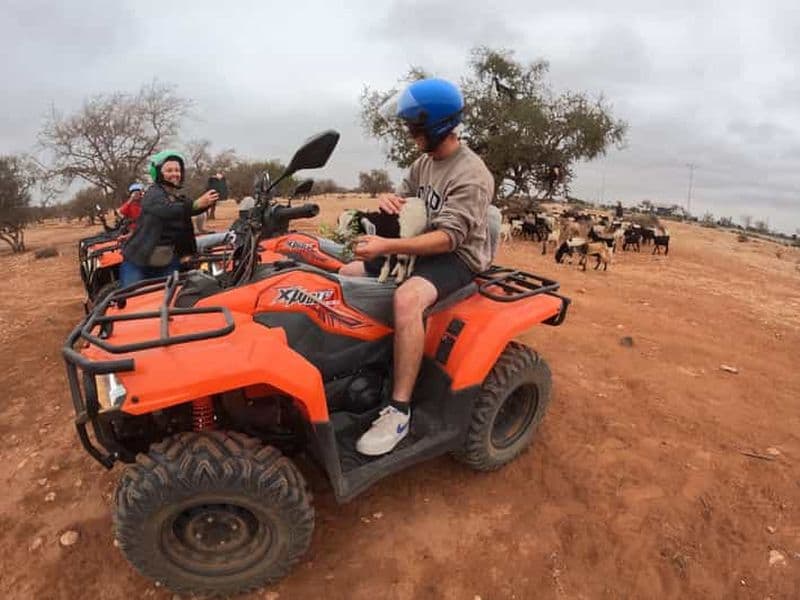 Agadir : aventure en quad, chèvres dans les arbres et Crocopark en option