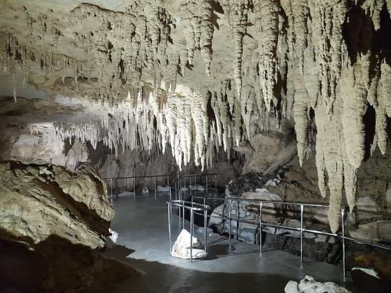 TrioDEAL : Grotte de vers luisants, oiseau kiwi et chutes de Whangarei