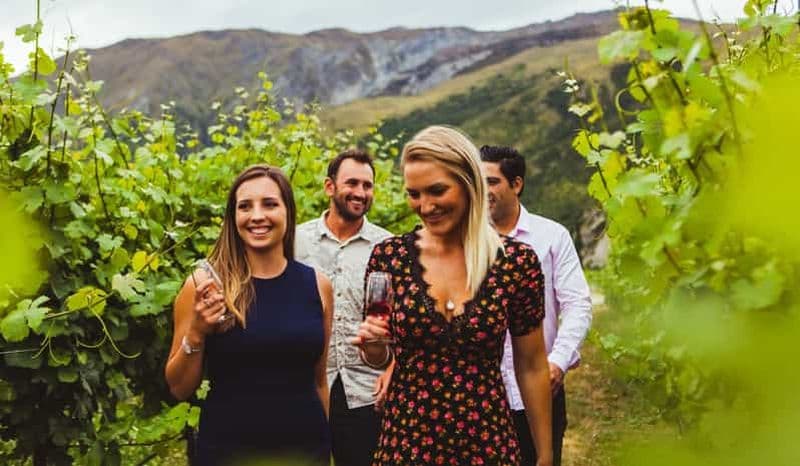 Queenstown : Dégustation de vins