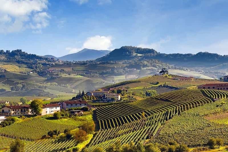 Visite privée : Dégustation de vin Barolo dans la région des Langhe depuis Turin