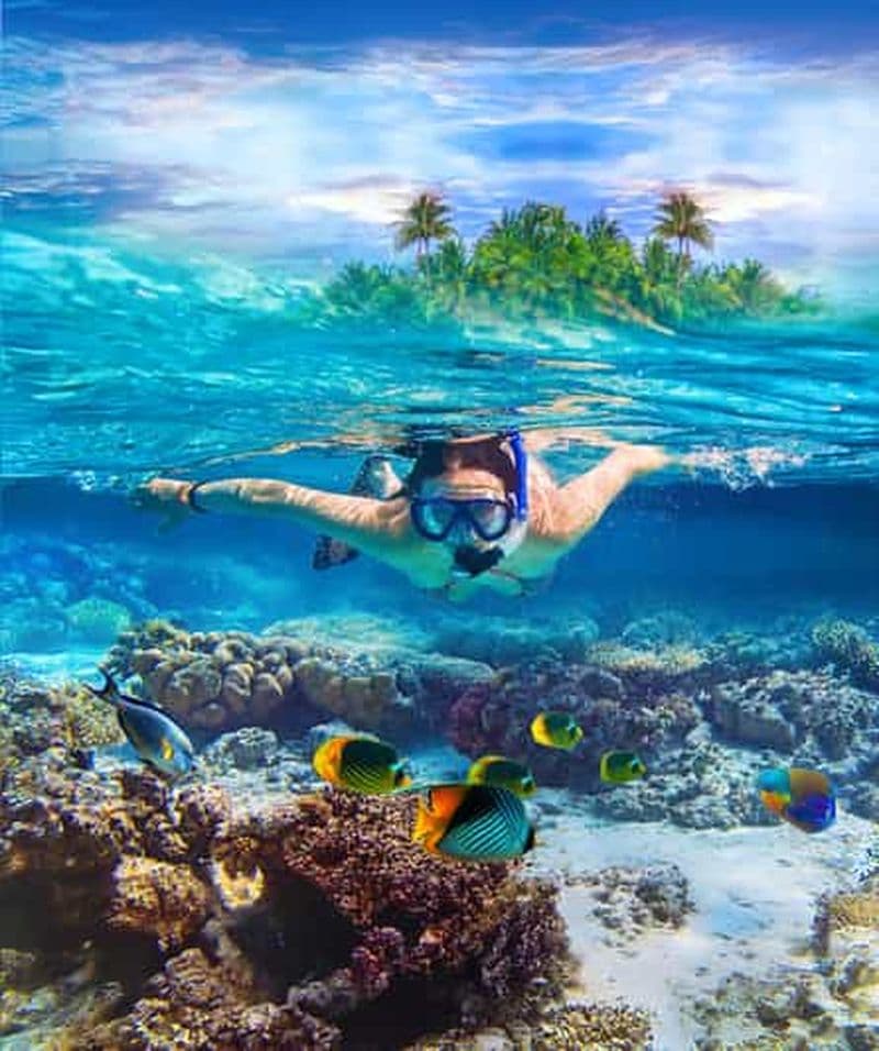 Excursion de plongée en apnée sur l'île Pigeon depuis la plage d'Uppuveli