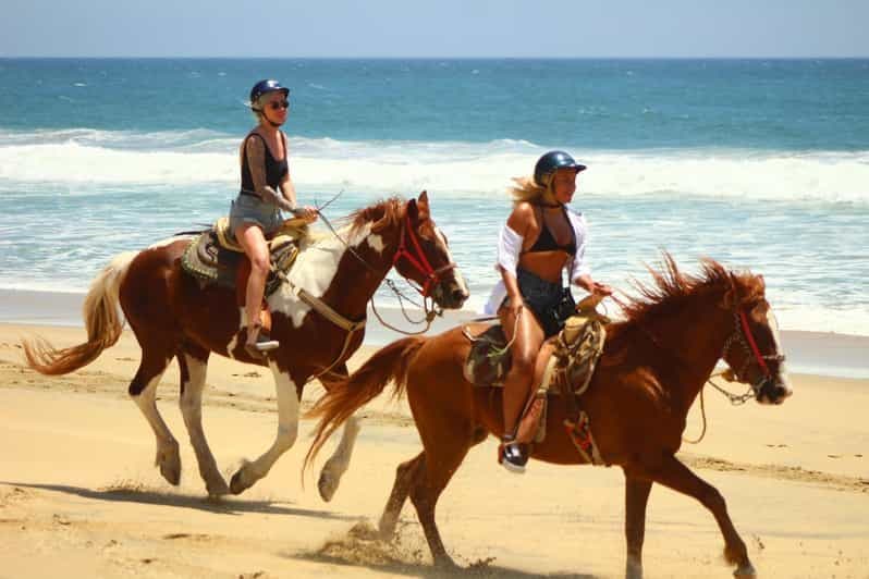 Cabo San Lucas : Randonnée à cheval à Migriño avec transferts