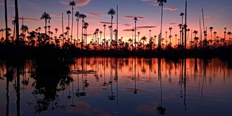 Excursion au lac Yacumama + coucher de soleil | Pêche sportive