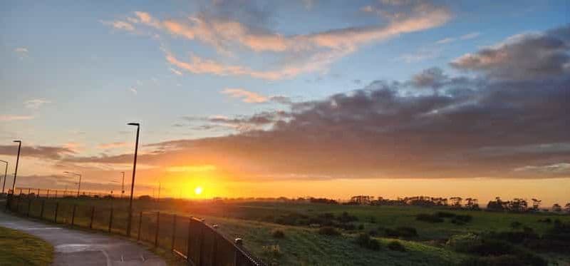 Auckland : Auckland City Tour 4 heures privées