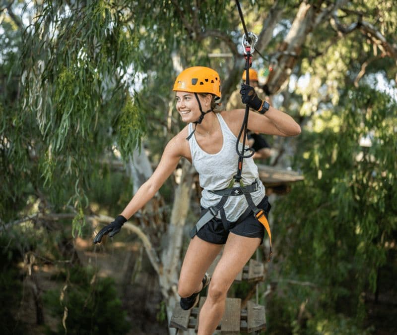 TreeClimb Adelaide : Une escalade palpitante pour les aventuriers
