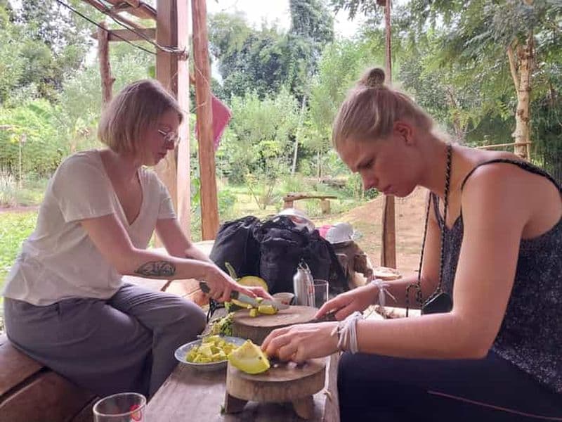Luang Prabang : Expérience de la ferme biologique et randonnée à Kuang si