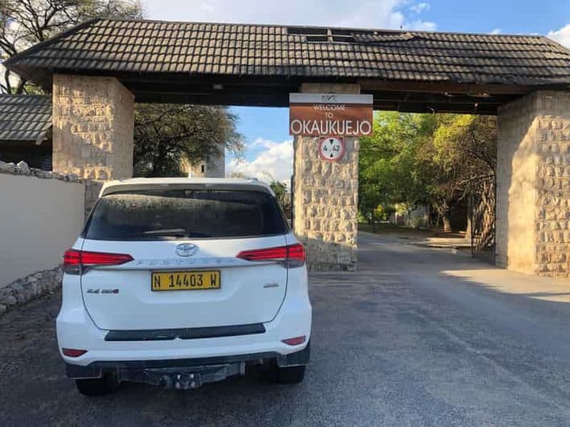 Au départ de Windhoek : Safari de 3 jours dans le parc national d'Etosha
