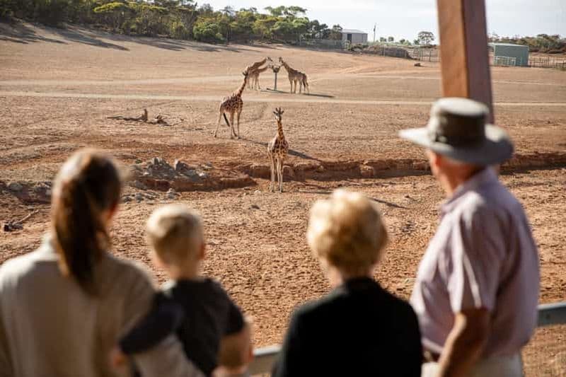 Parc Safari de Monarto : Billets d'entrée générale