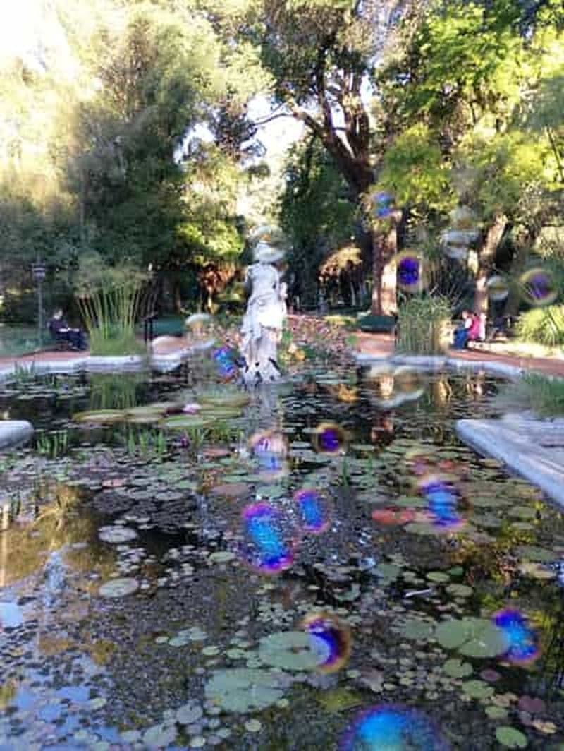 Billet Les sculptures du jardin botanique et la dégustation de thé Mate