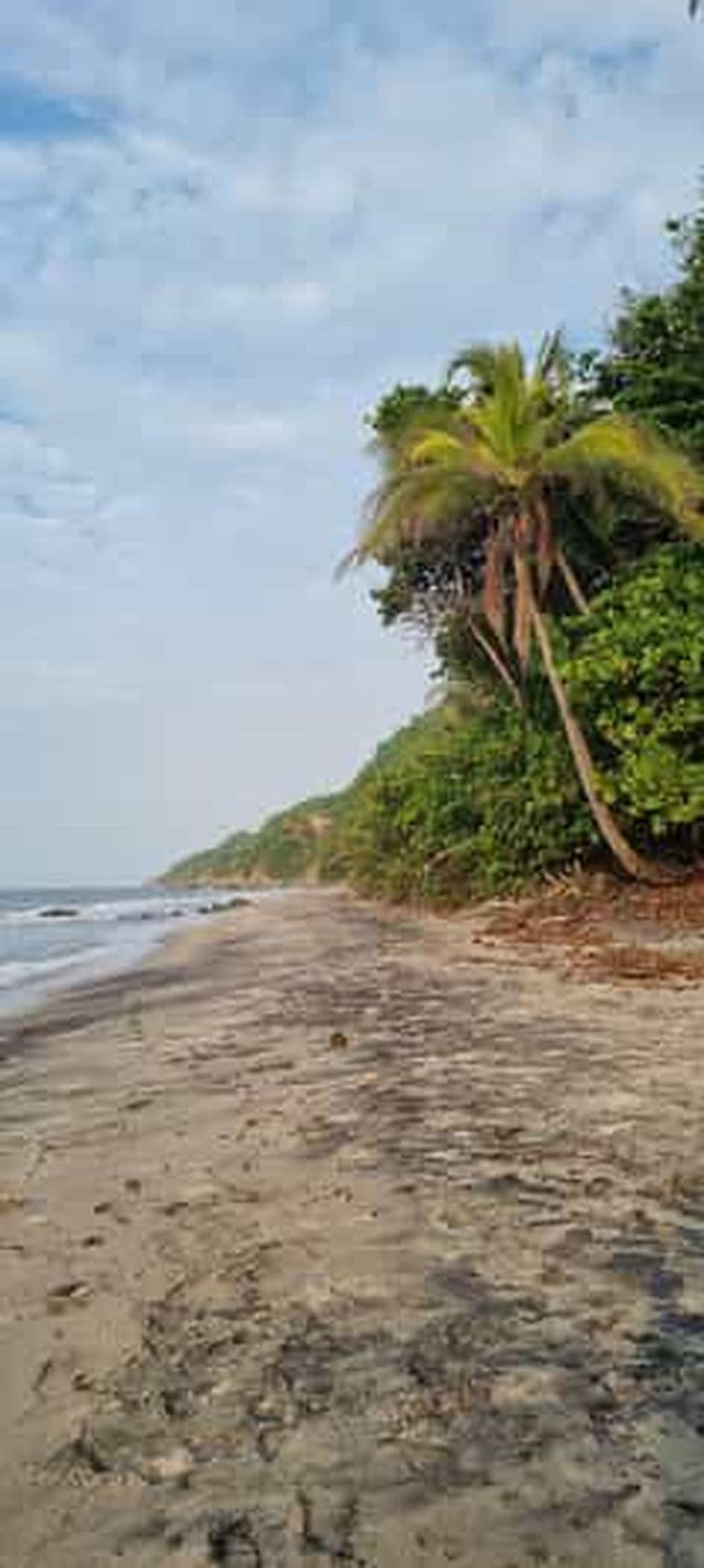 Palomino : excursion d'une journée à la cascade cachée et au yoga sur la plage